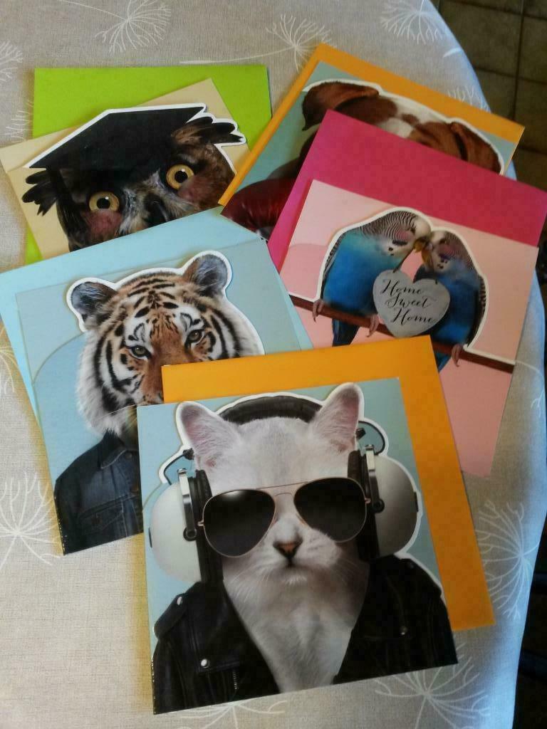 kaarten met dieren, Ophalen, Nieuw, Dieren