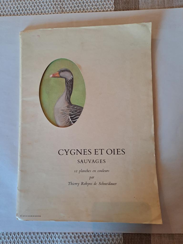 Cygnes et oies sauvages, Robyns de Schneidauer, Gravure, Comme neuf, Enlèvement, 1960 à 1980