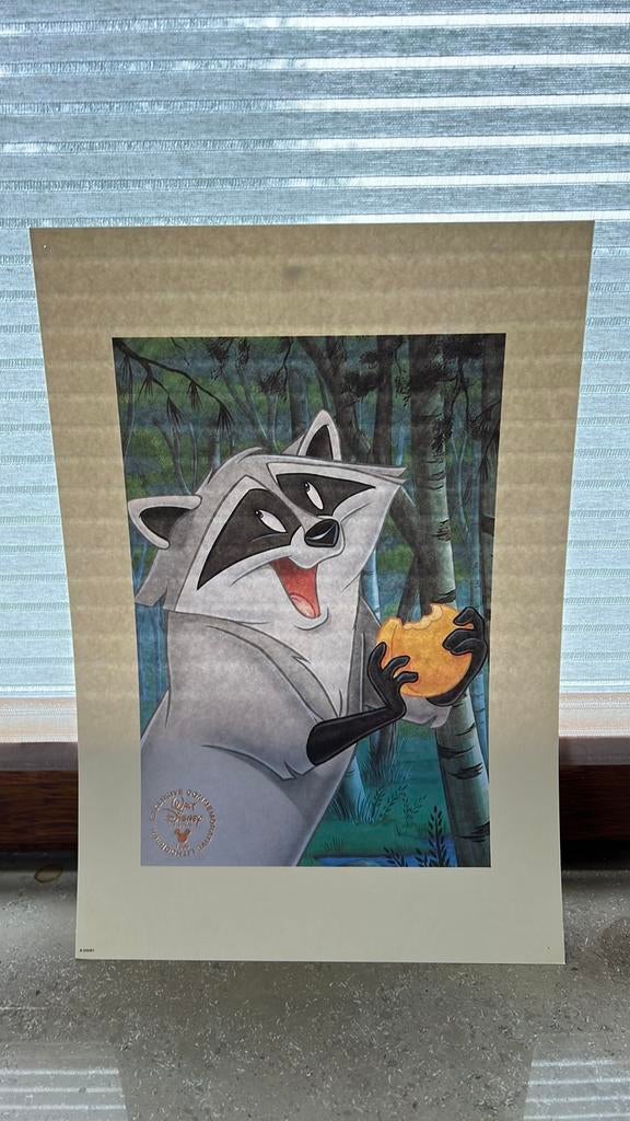 Disneylitho van Meeko 33/23 cm, Ophalen of Verzenden