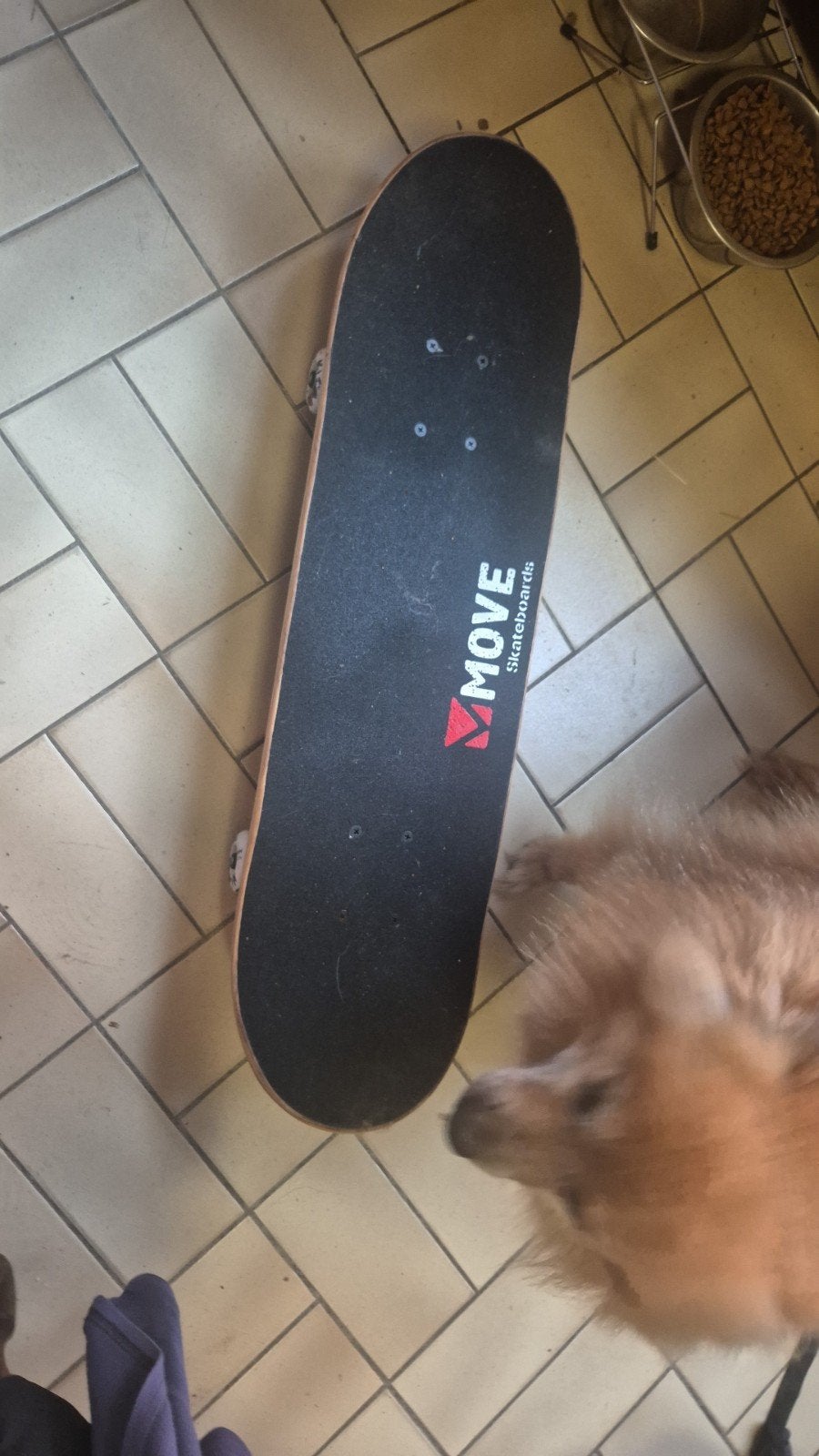 Skateboard à vendre, Enlèvement ou Envoi, Skateboard