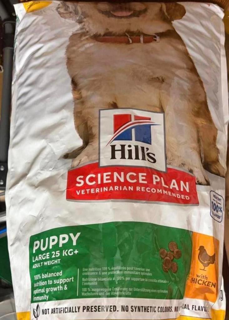 Hill’s puppy large, Animaux & Accessoires, Enlèvement, Chien