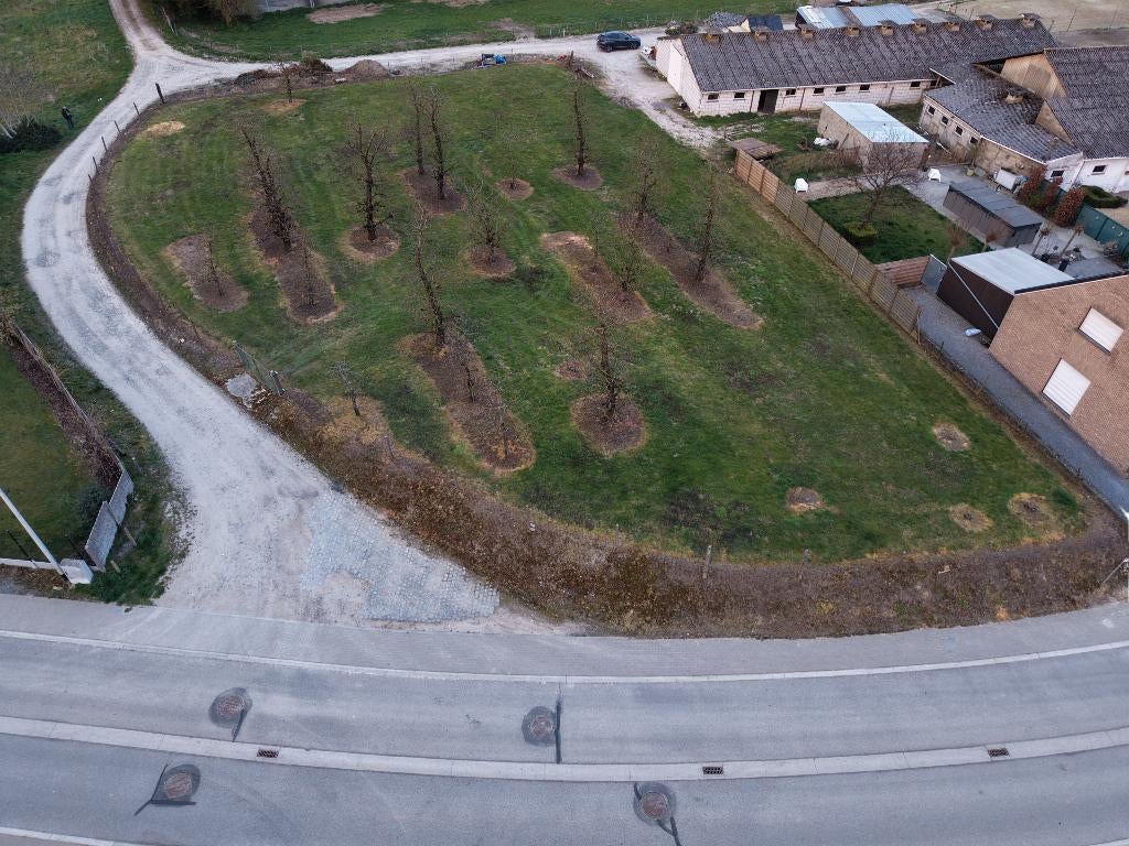 Bouwgrond, Immo, Sint-Truiden, Ventes sans courtier, 1500 m² ou plus