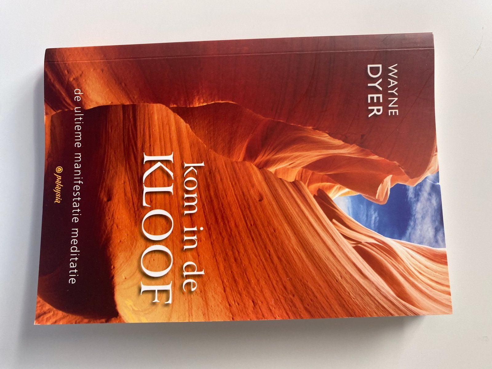 Kom in de kloof Wayne Dyer, Boeken, Ophalen of Verzenden, Zo goed als nieuw