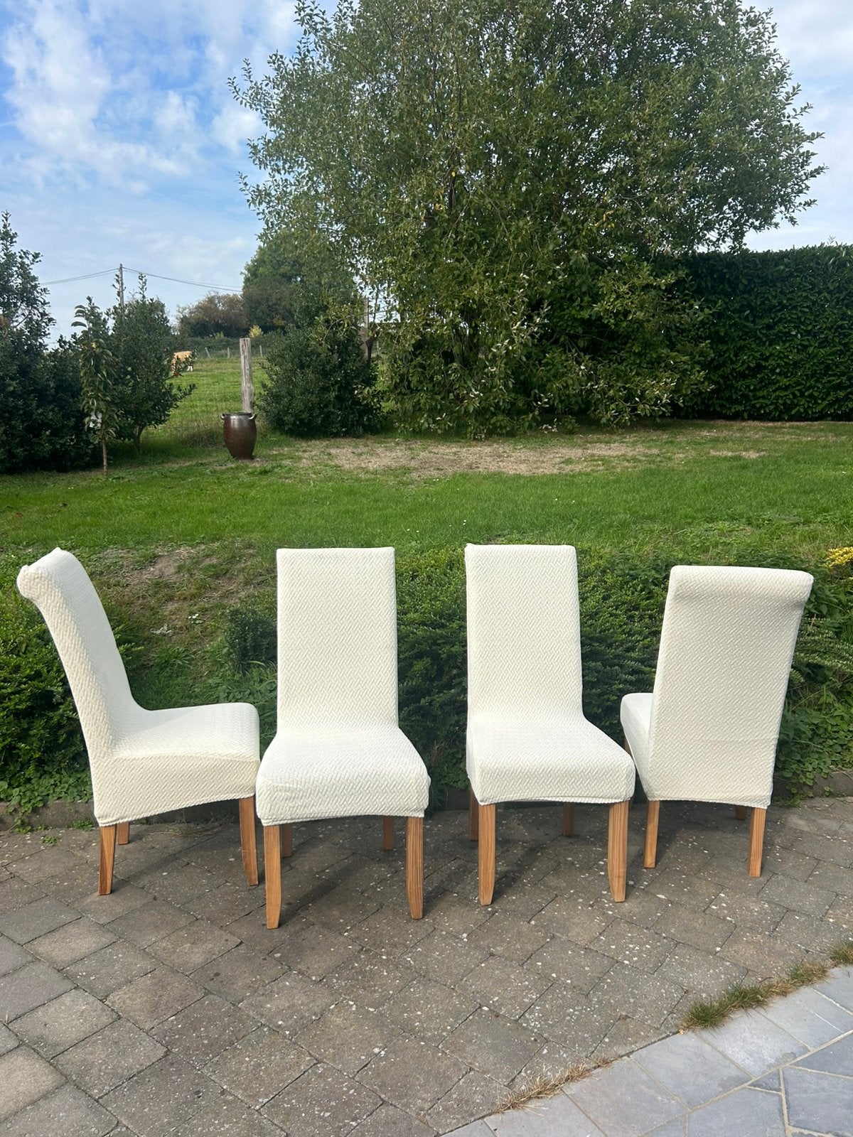 Chaises salon, Enlèvement, Comme neuf