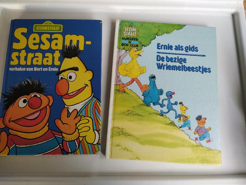 boek: Sesamstraat - verhalen van Bert en Ernie, Boeken, Ophalen of Verzenden, Gelezen, Fictie algemeen