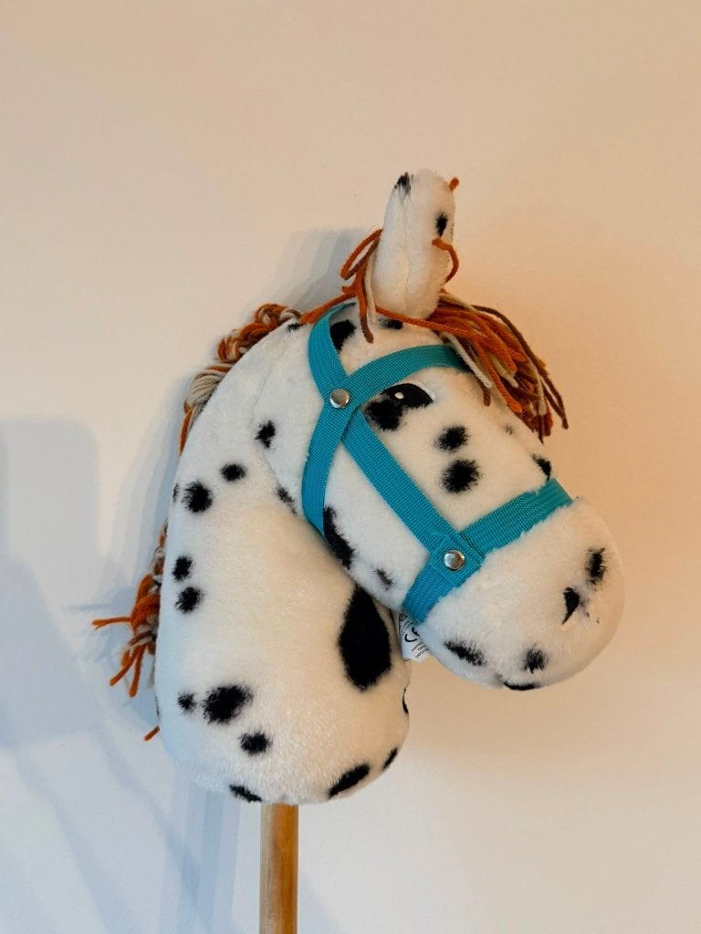 Hobby Horses / stokpaardjes, Kinderen en Baby's, Speelgoed | Hobbelfiguren, Ophalen, Zo goed als nieuw