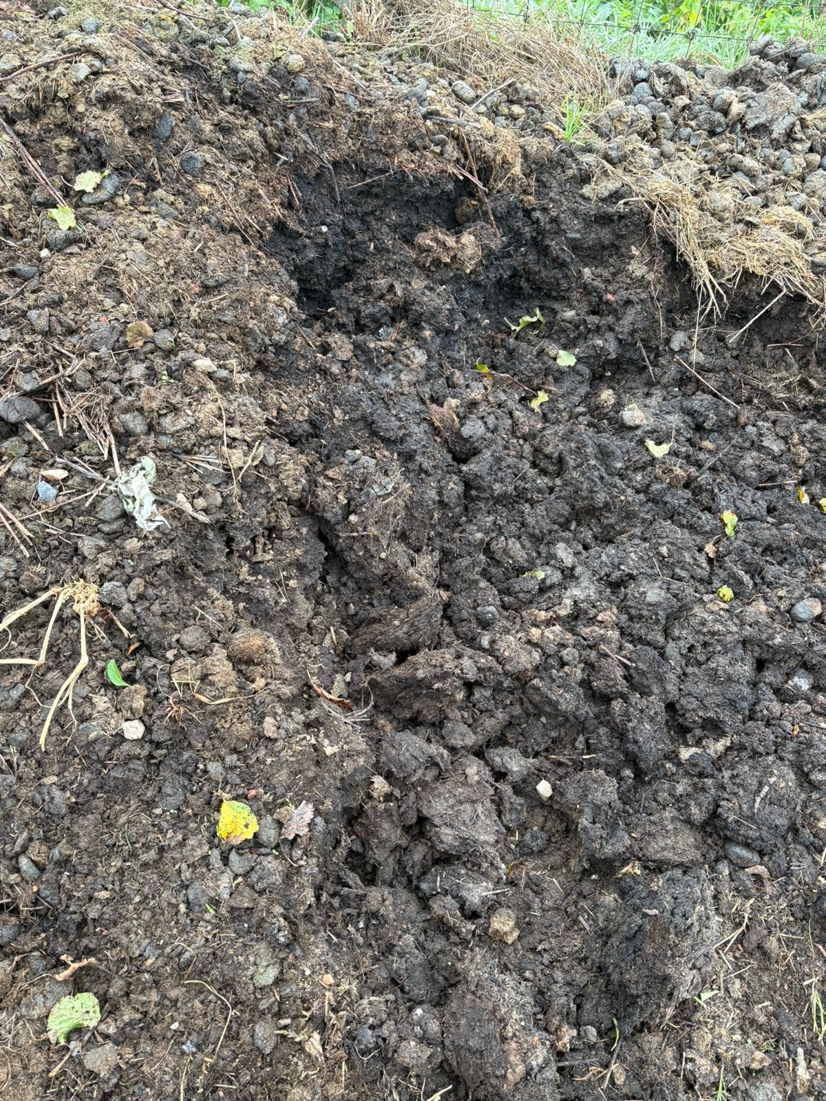 Compost paardenmest, Tuin en Terras, Ophalen, Compost