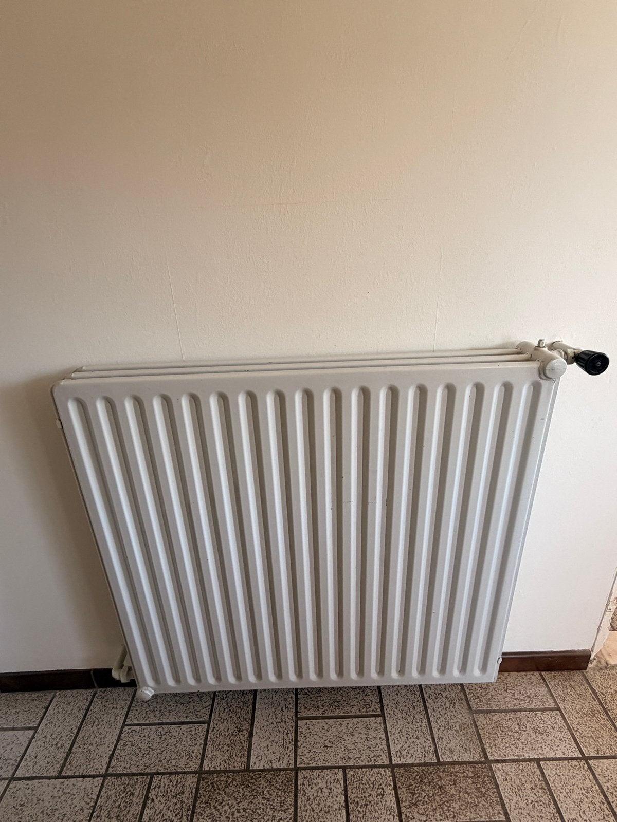 Gietijzeren radiator, Doe-het-zelf en Bouw, Ophalen, Zo goed als nieuw, Radiator
