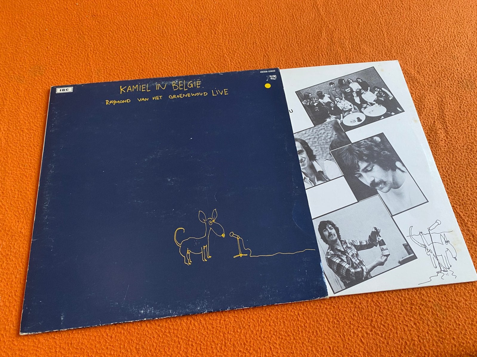 Raymond van het Groenewoud, Cd's en Dvd's, Vinyl | Nederlandstalig, Ophalen, Zo goed als nieuw
