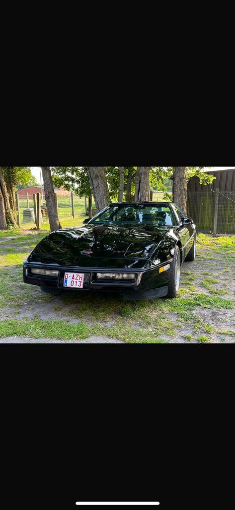 Corvette c4, Auto diversen, Dakkoffers, Gebruikt, Ophalen