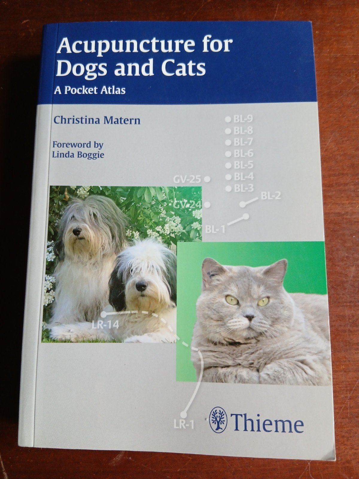 Paperback Accupuncture for Dogs and Cats, Livres, Animaux & Animaux domestiques, Enlèvement
