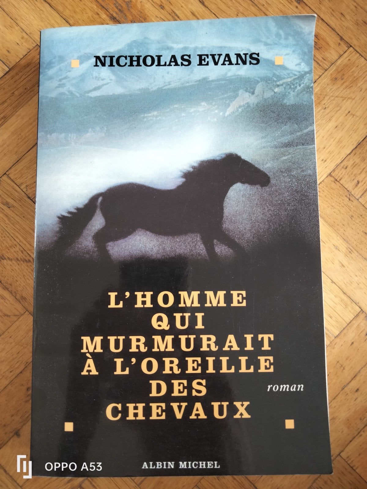 L'Homme qui murmurait à l'oreille des chevaux, Nicholas Evan, Enlèvement ou Envoi