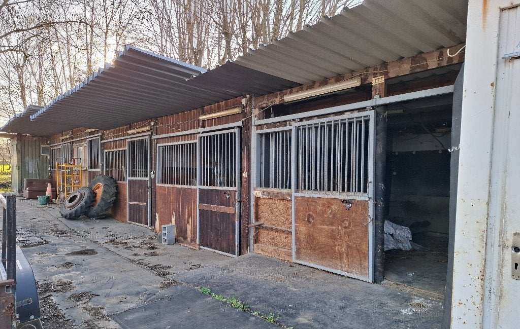 porte box chevaux, Stalling