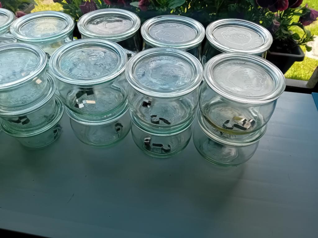 Lot van 24 Weckpotten., Voorraadpot, Ophalen, Zo goed als nieuw, Glas
