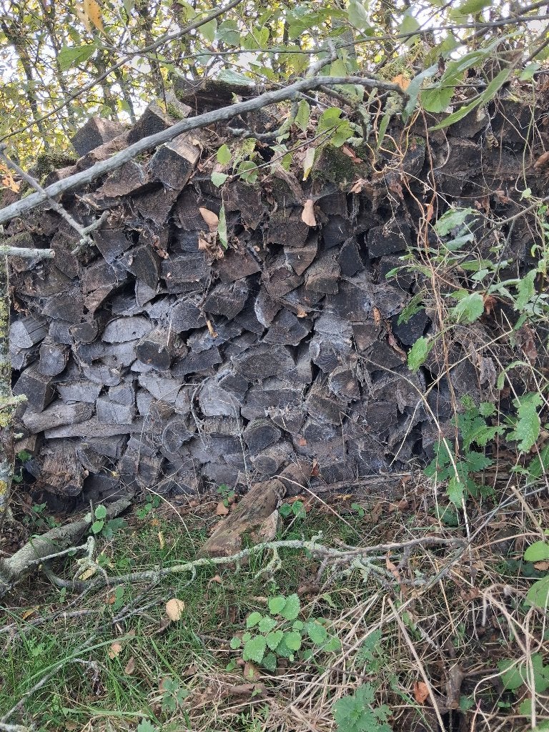 Hout 3m³ 60 euro quper goedkoop, 6 m³ of meer, Ophalen, Eikenhout, Blokken