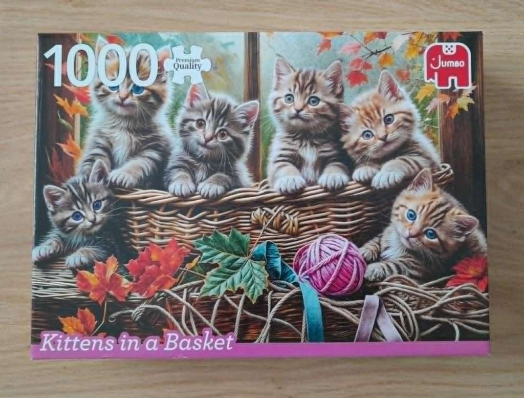 Puzzels Jumbo 1000 stuks, Verzenden, 500 t/m 1500 stukjes, Zo goed als nieuw, Legpuzzel