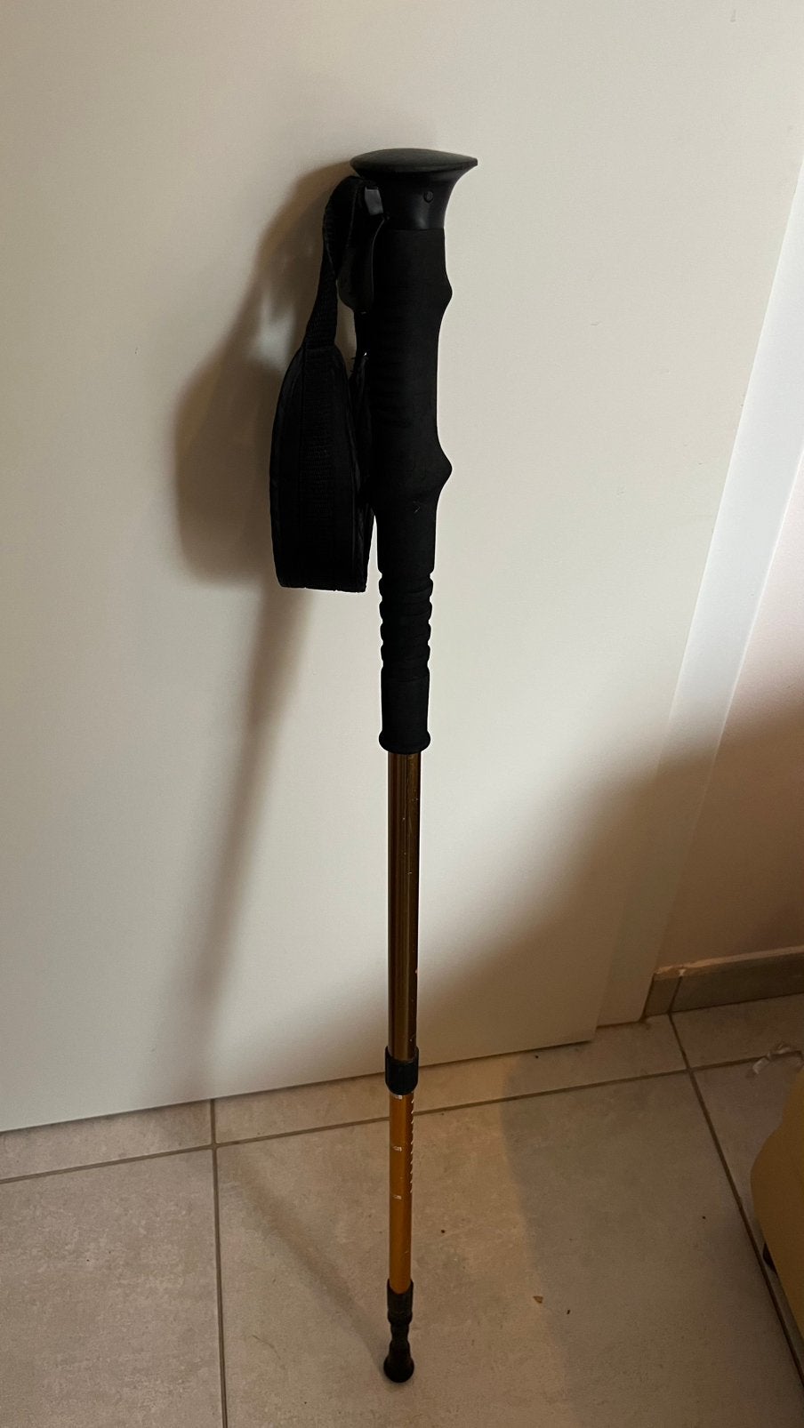 Baton de marche, Enlèvement ou Envoi, Comme neuf