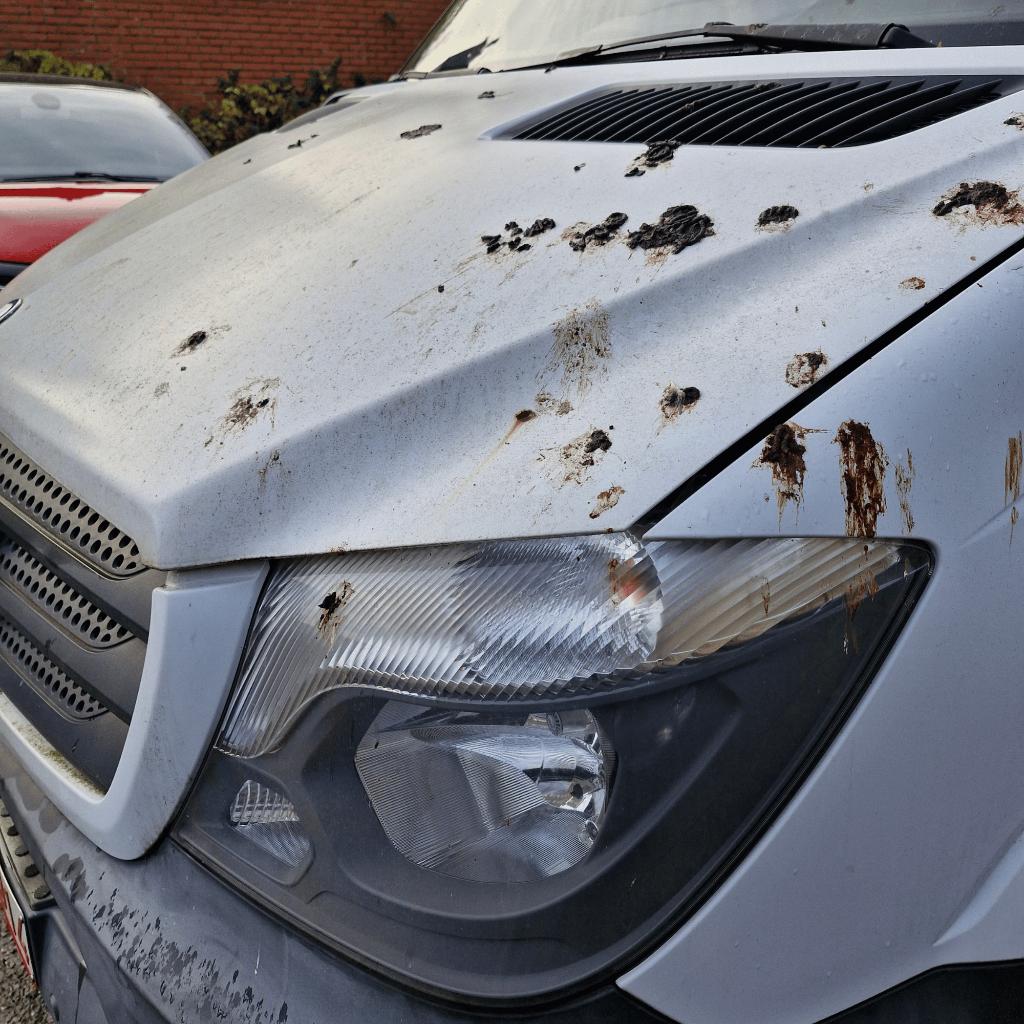 Premium Carwash @ Home, Diensten en Vakmensen, Auto en Motor | Carwash, Komt aan huis, Krasverwijdering, Leerbehandeling