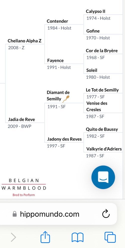 Mooie 6 jarige fok merrie., Avec pedigree, 175 cm ou plus, Débourré, Cheval de saut