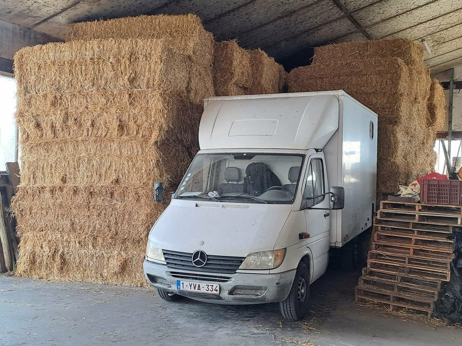 Mercedes Sprinter Paardenwagen rijbewijs B