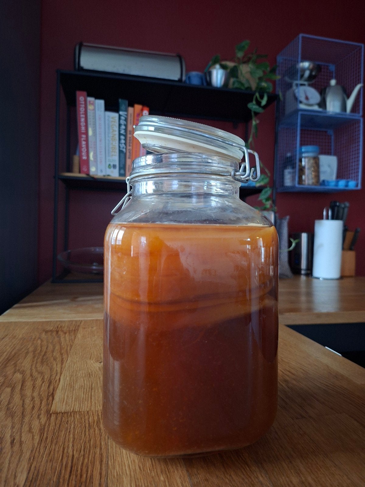 kombucha scoby/starter, Divers, Enlèvement
