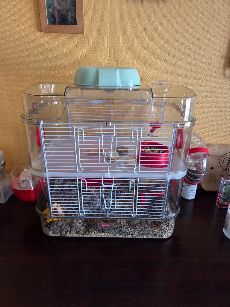 Cage pour hamster neuve, Neuf, Cage, 60 à 90 cm, Rat