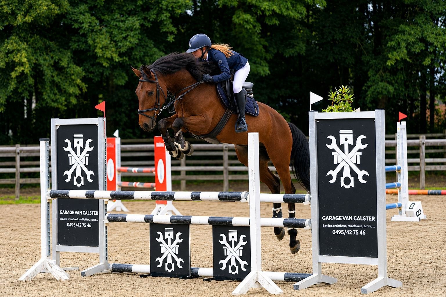Bon cheval à sauter !, Animaux & Accessoires, Chevaux, Hongre, Cheval de saut