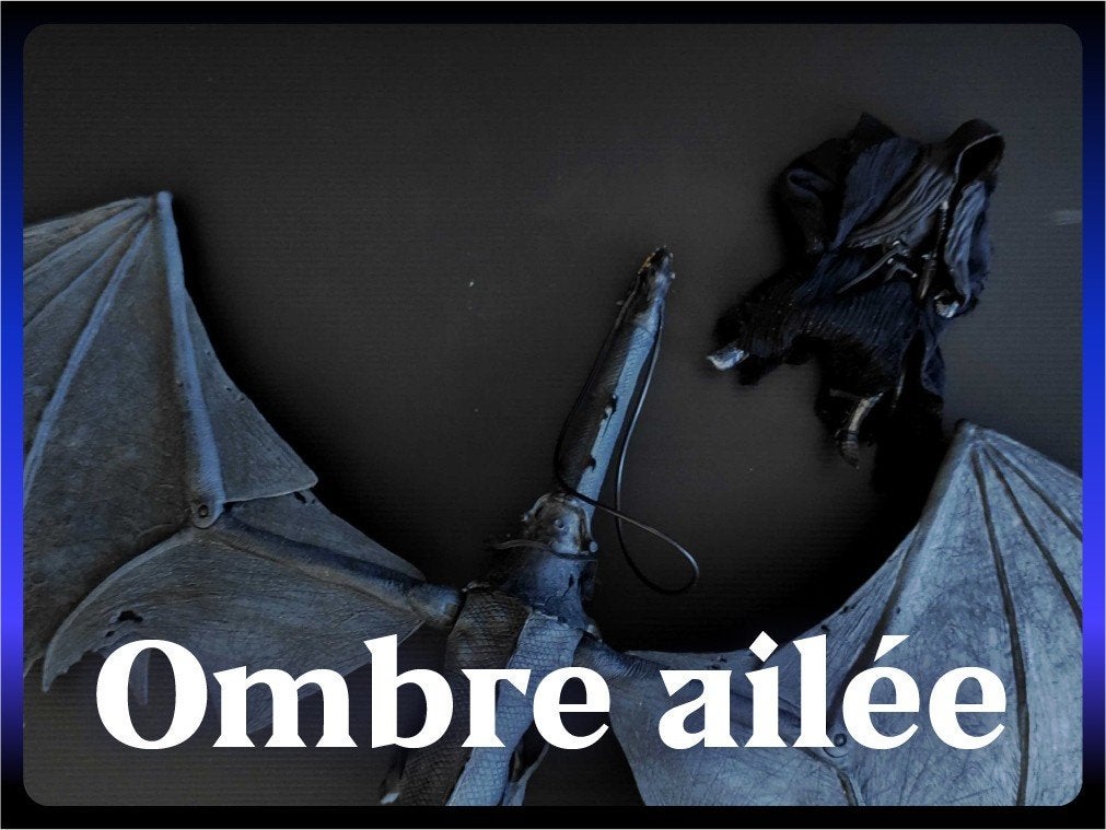 ToyBiz LOTR | Ombre ailée Deluxe 80 cm avec Nazgûl (2004), Enlèvement, Comme neuf, Figurine