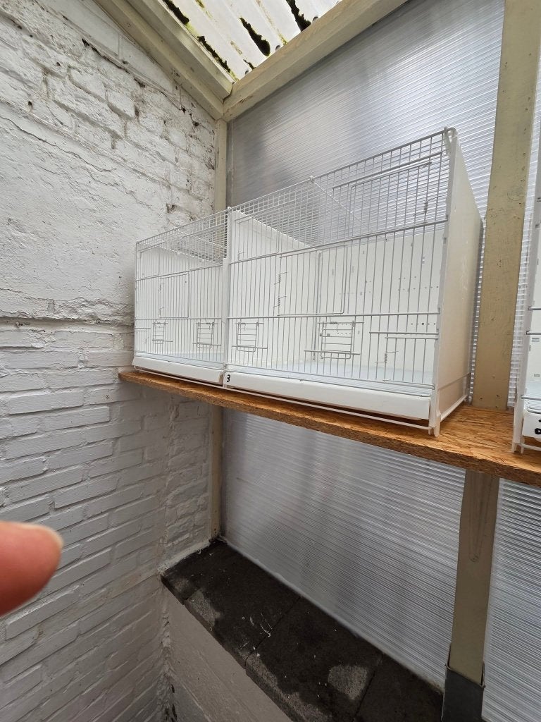 Cage  D'élevage, Enlèvement, Comme neuf, Autres matériaux, Cage d'élevage