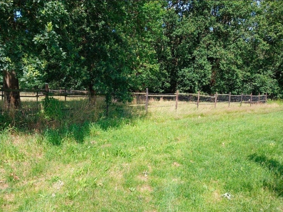 mooie weide landbouwgrond weiland te koop