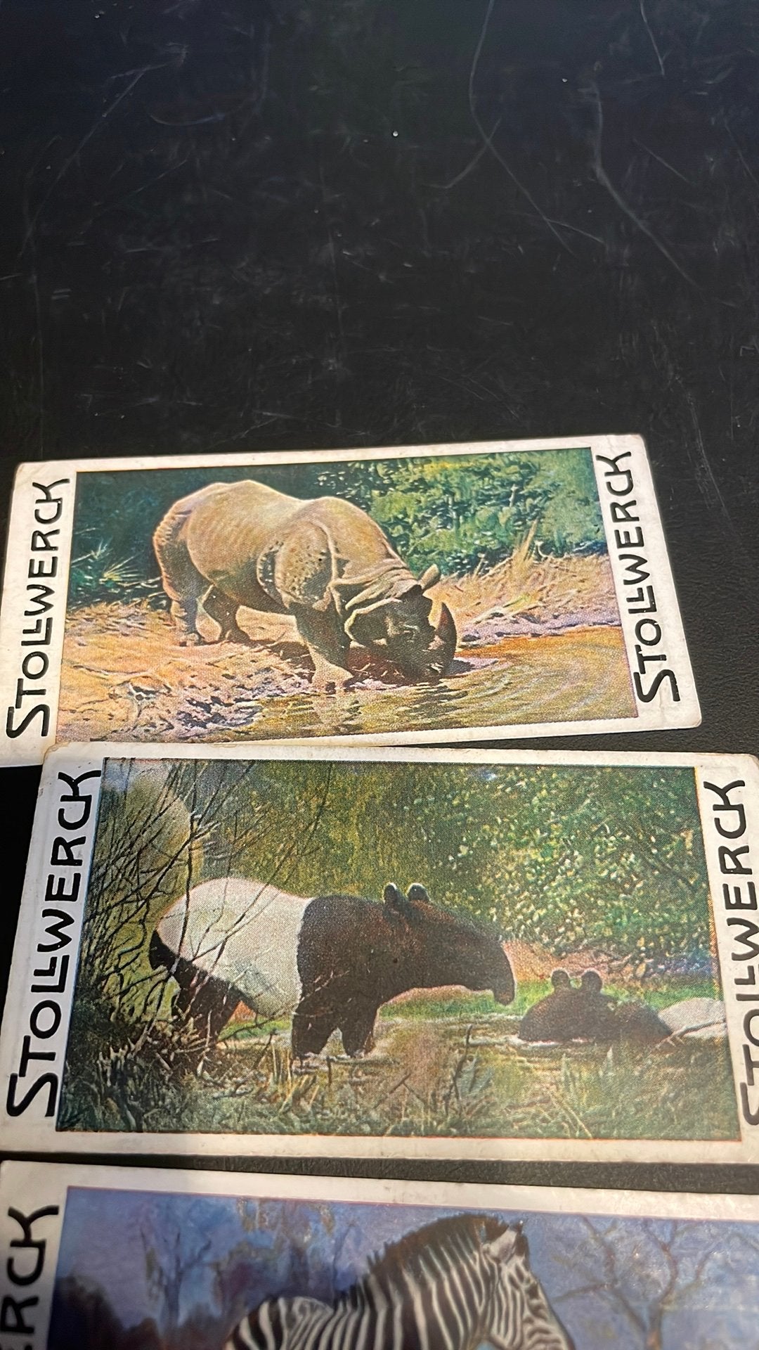 Stollwerck chromo groep 10(x3a), Verzamelen, Gebruikt, Ophalen of Verzenden, 1940 tot 1960, Dier