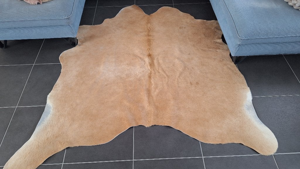 Beige koeienvel, Ophalen, Gebruikt, Beige, 100 tot 150 cm