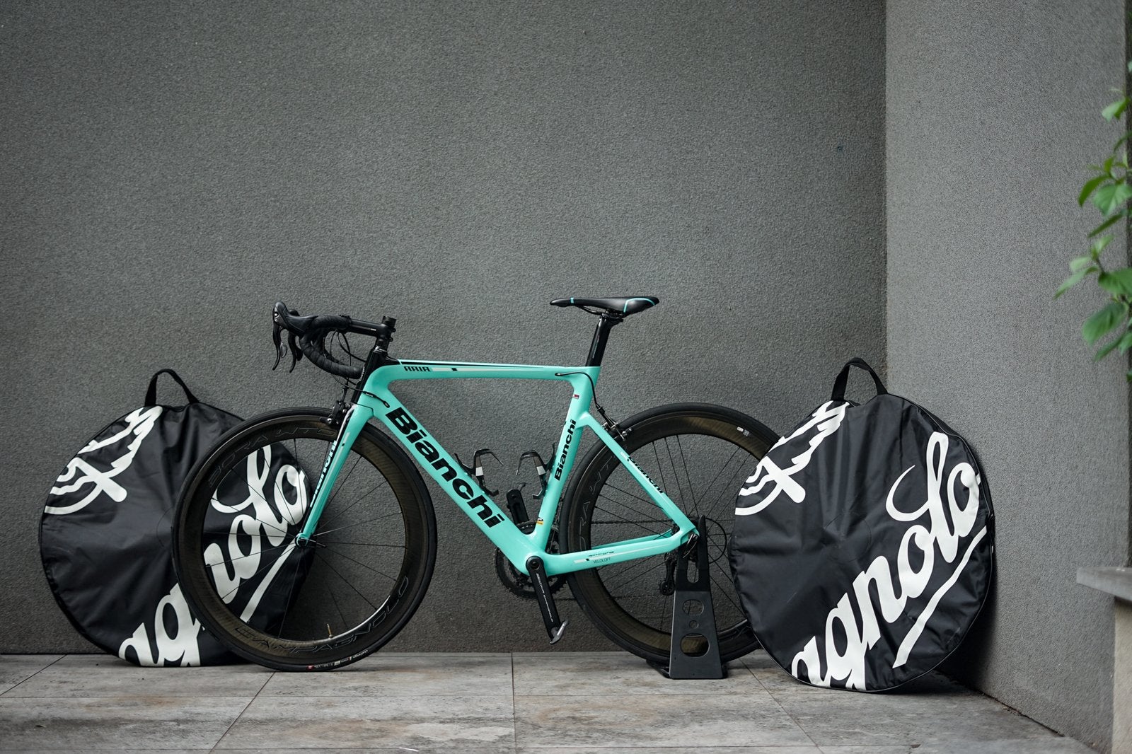 Bianchi Aria | Maat 53 | Campagnolo Bora WTO 60 Carbon, Ophalen, Carbon, Zo goed als nieuw, 53 tot 57 cm
