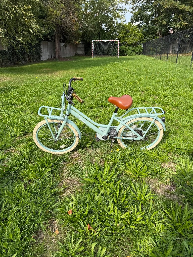 Meisjesfiets, Ophalen, Gebruikt, Handrem