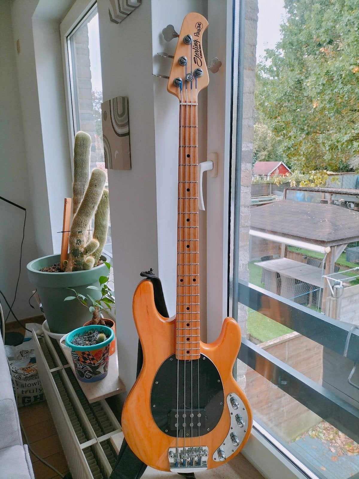Sterling By MusicMan Ray34, Muziek en Instrumenten, Ophalen