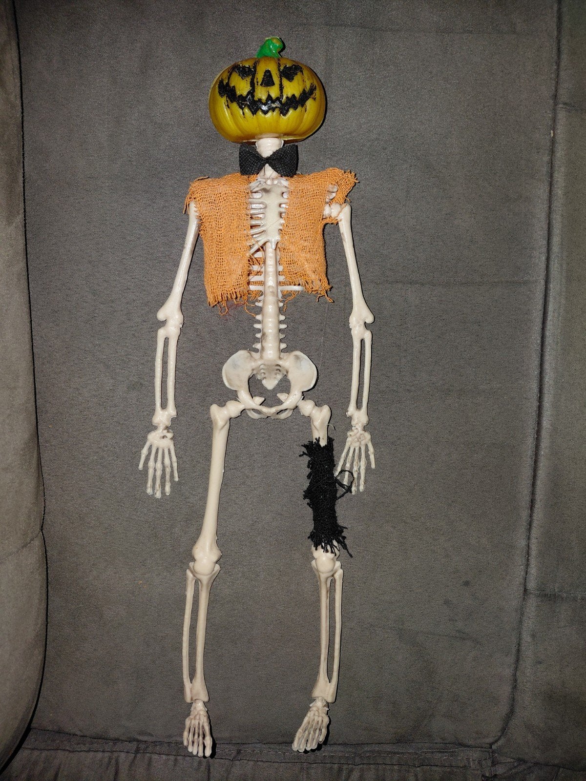 squelette halloween, Enlèvement ou Envoi
