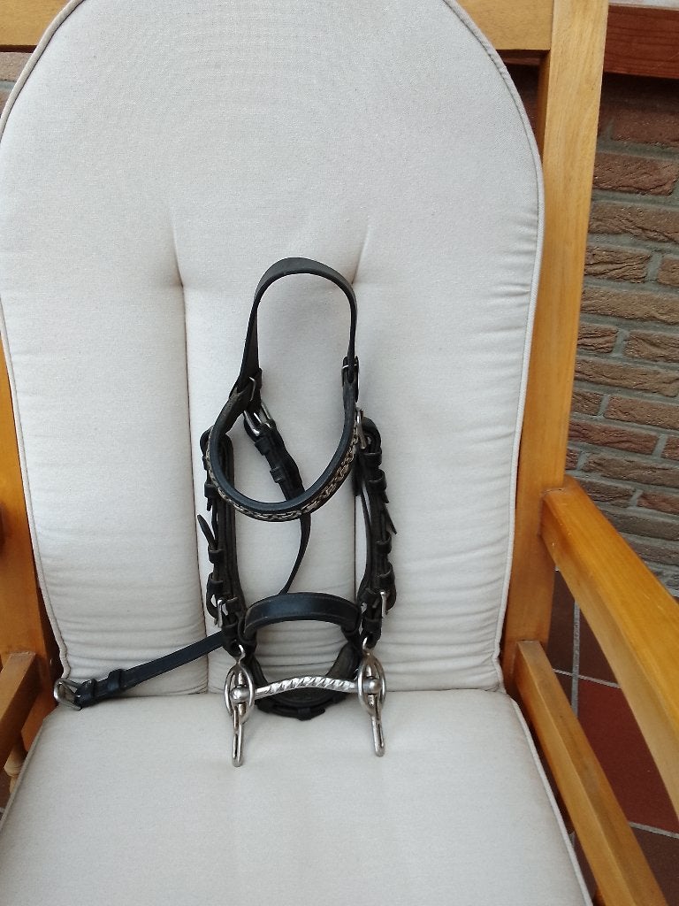 Kopstuk pony, Inclusief teugels, Hoofdstel, Recreatie, Pony