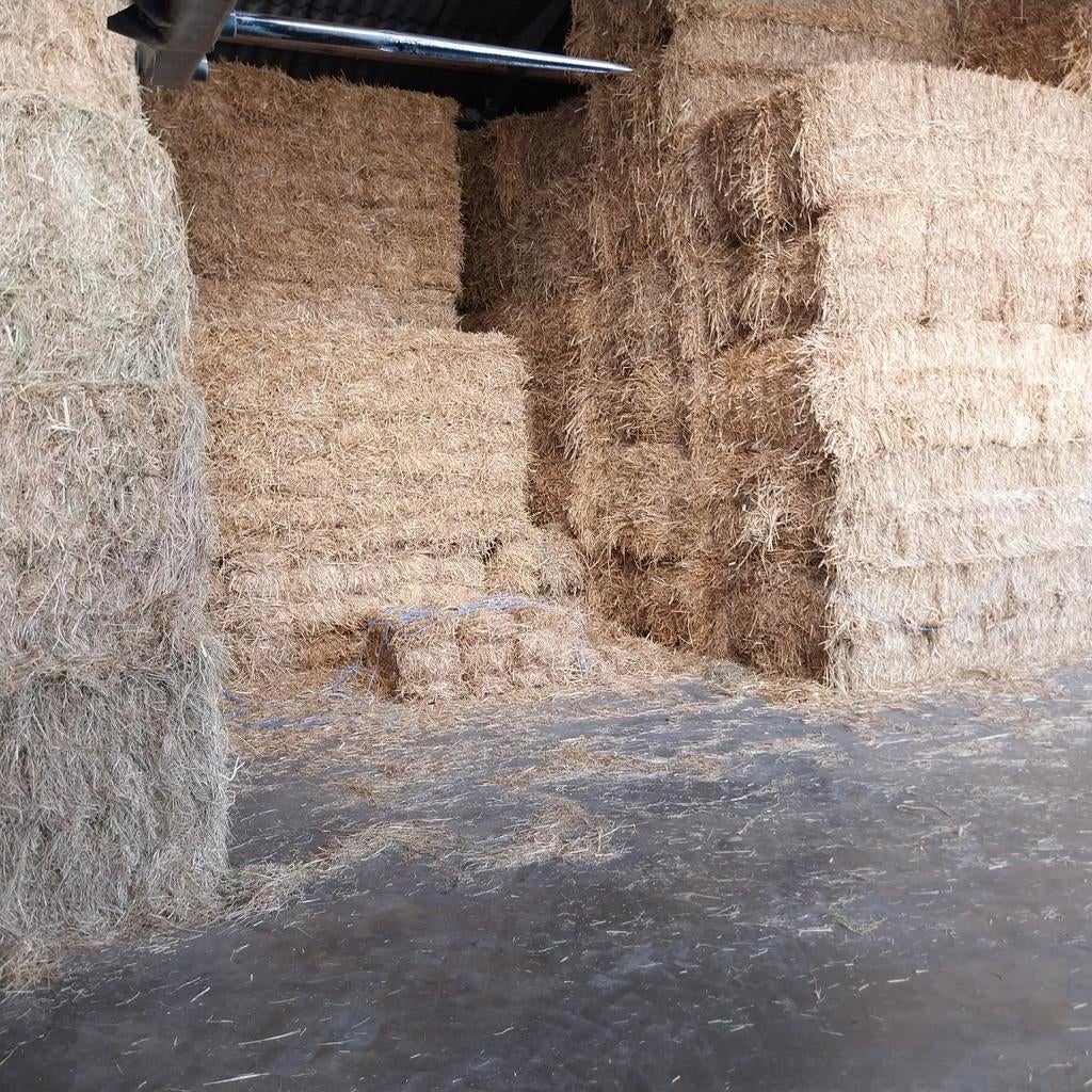 Grote pakken stro, Dieren en Toebehoren, Ophalen