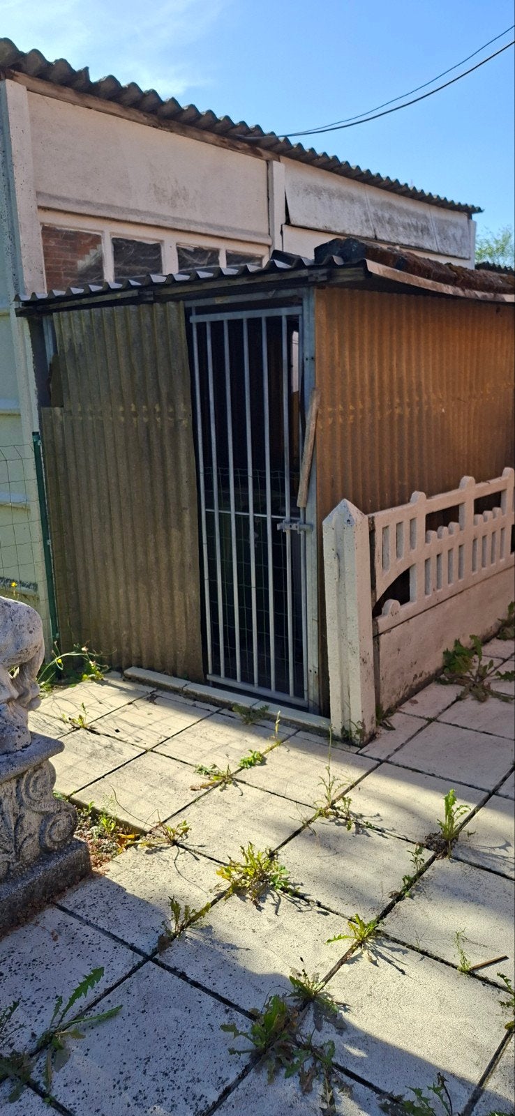 hondenren, Ophalen, 100 cm of meer, Hondenhok, 110 cm of meer