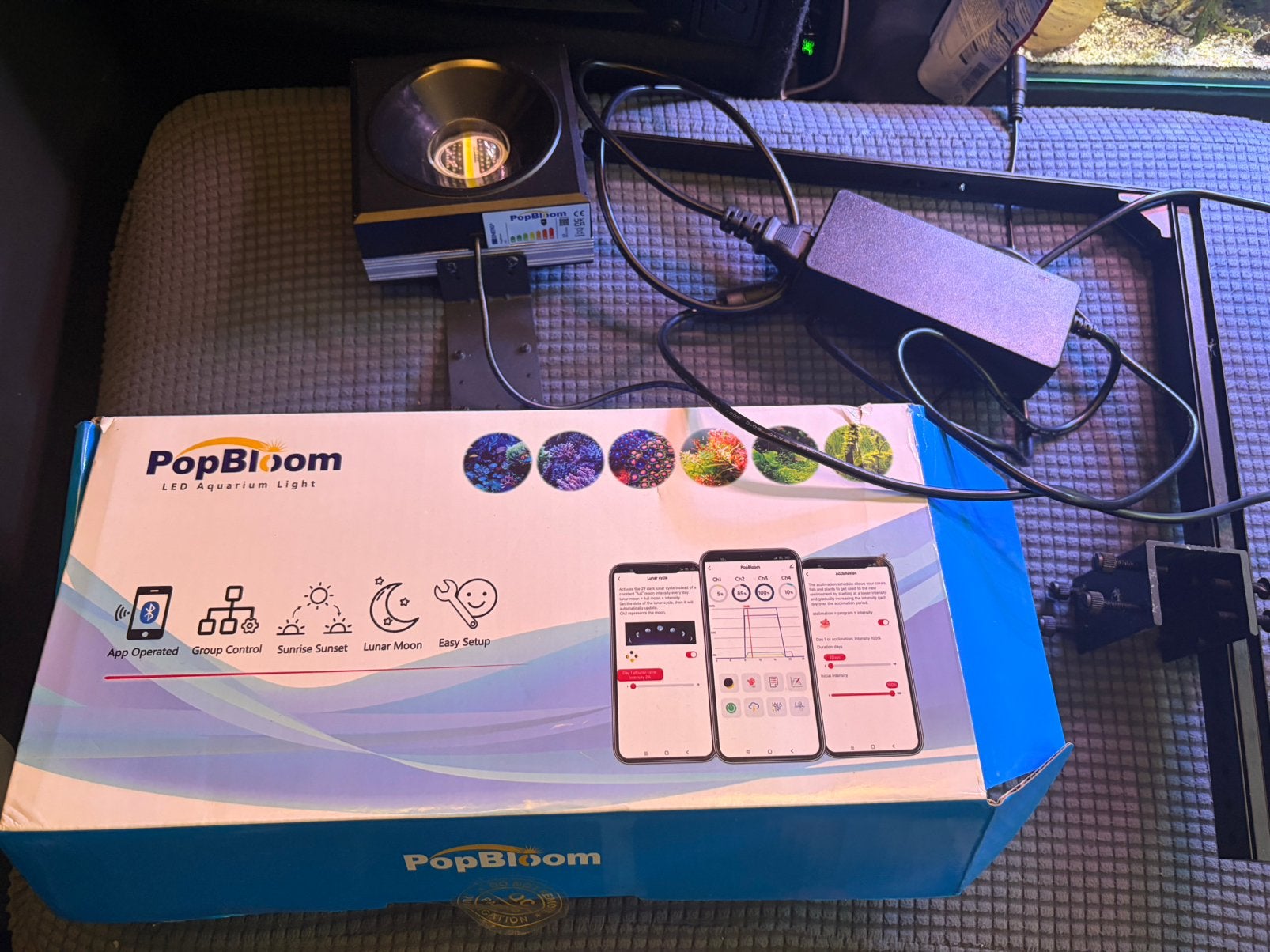 LED à eau de mer PopBloom RL90 100 W (WiFi) + kit de montage, Enlèvement, Comme neuf, Éclairage ou Chauffage