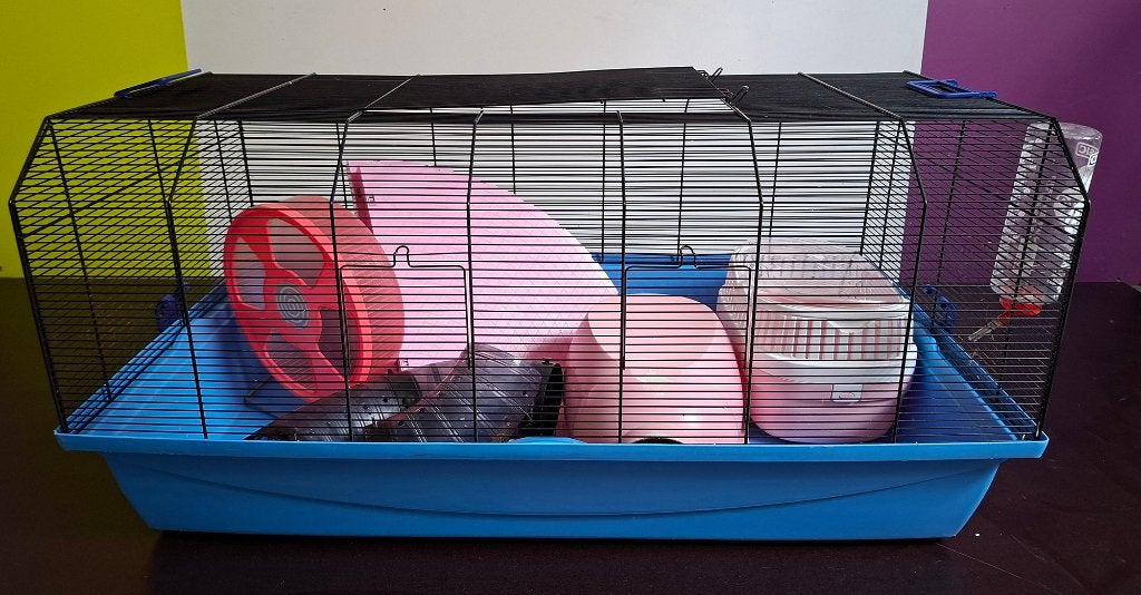 Kooien, Animaux & Accessoires, Rongeurs & Lapins | Cages & Clapiers, Utilisé, Cage, Cobaye, Hamster, Souris, Rat, Enlèvement