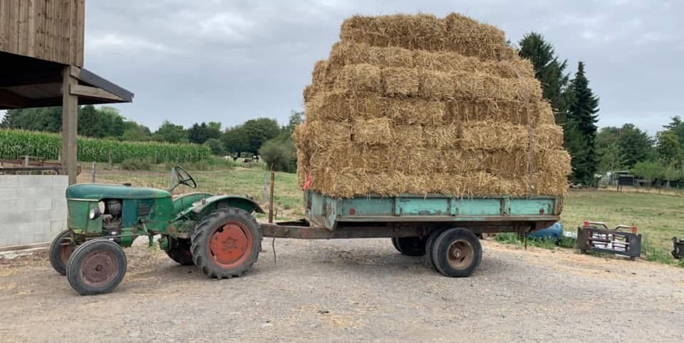 Remorque, Articles professionnels, Agriculture | Outils, Élevage, Transport, Enlèvement ou Envoi