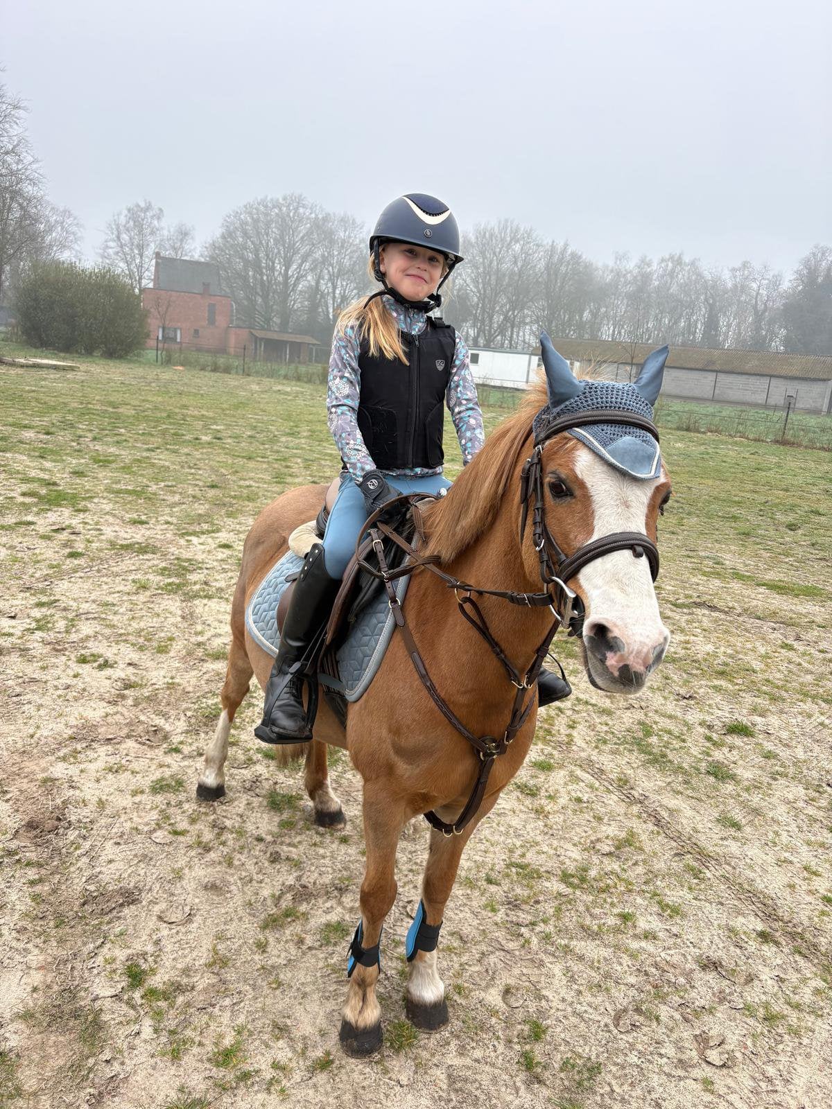 Lieve B-pony, Dieren en Toebehoren, B, Springpony, B pony (1.17m tot 1.27m), 11 jaar of ouder