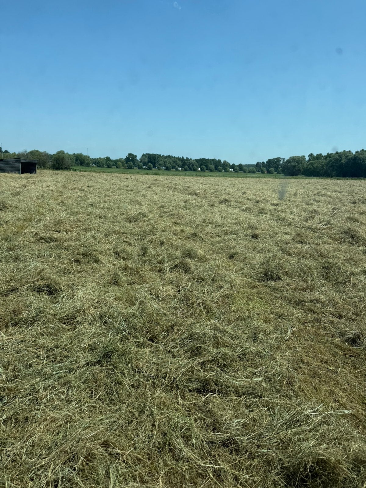 Midibalen zowel hooi/ als lichtjes voordroog, Dieren en Toebehoren, Ophalen, Vee