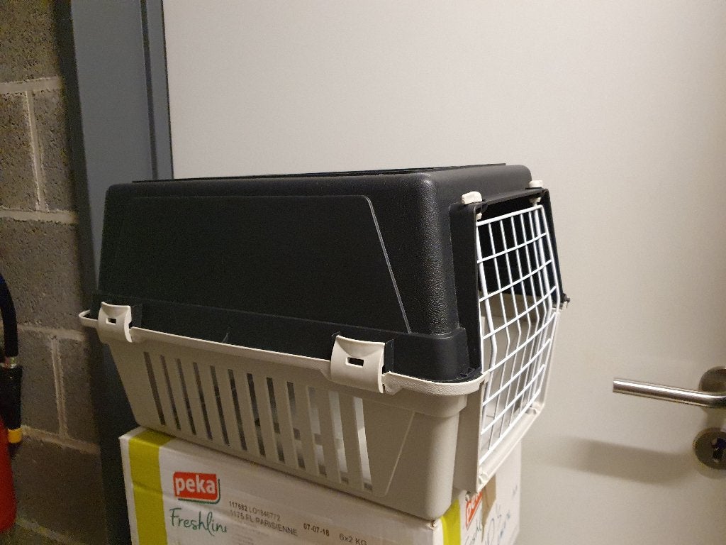 cage de transport pour chaton, petit chien, Animaux & Accessoires, Enlèvement, Utilisé