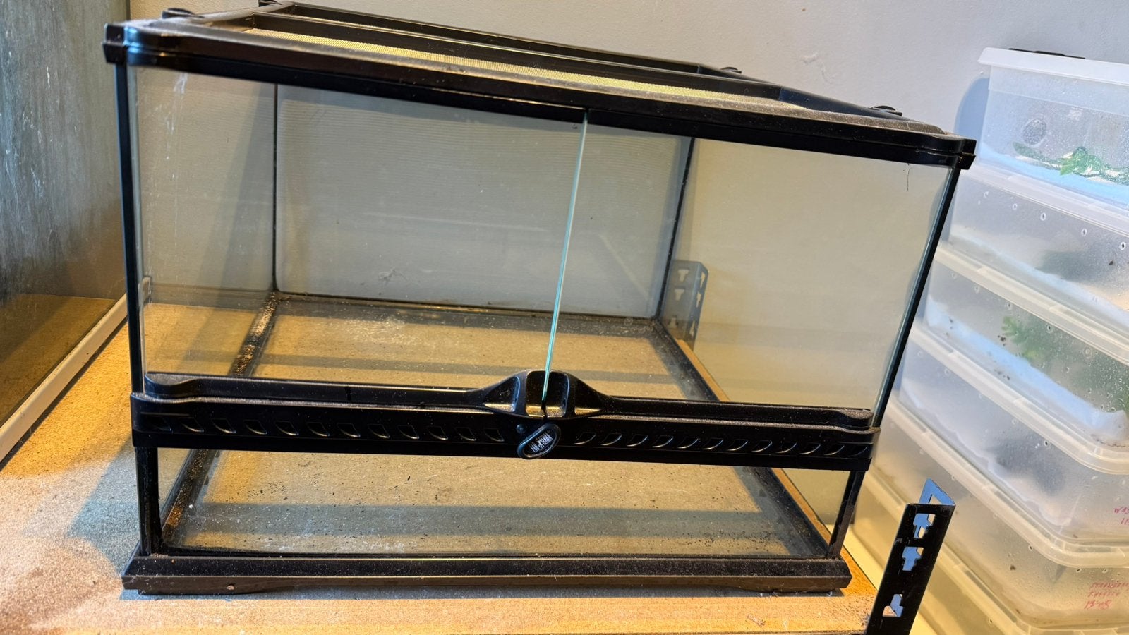 Terrarium exo terra, Dieren en Toebehoren, Ophalen, Nieuw