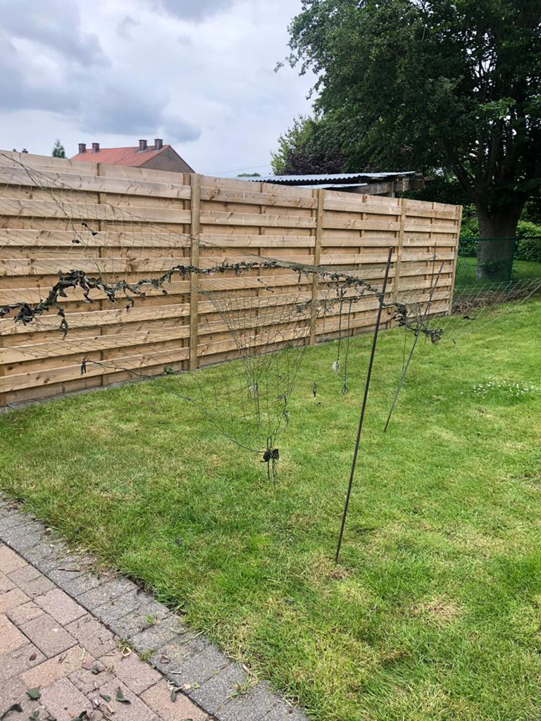 Vogelnet van 6m op 4 m -, Ophalen, Gebruikt