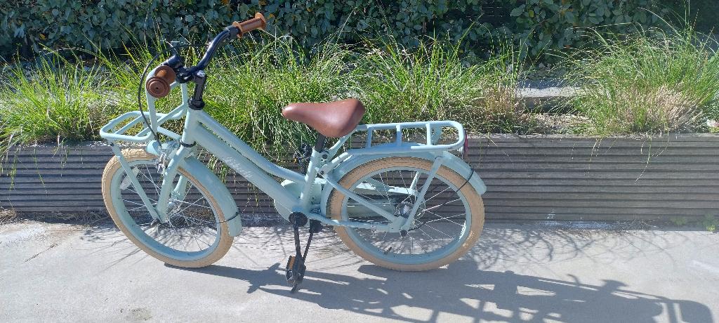 Meisjesfiets 20 inch, Fietsen en Brommers, Fietsen | Meisjes, Ophalen, Gebruikt, Terugtraprem, 20 inch