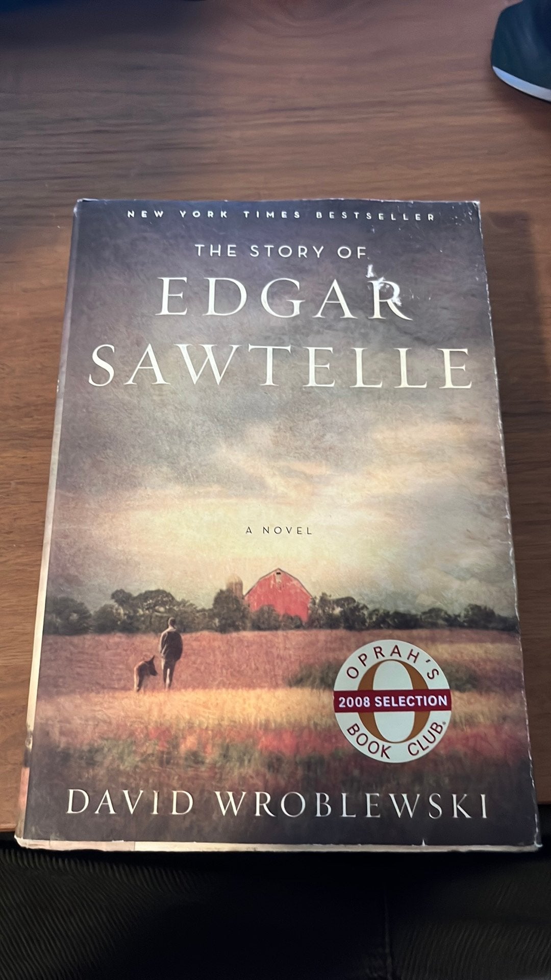 The story of Egard Sawtelle, Ophalen of Verzenden, Gelezen
