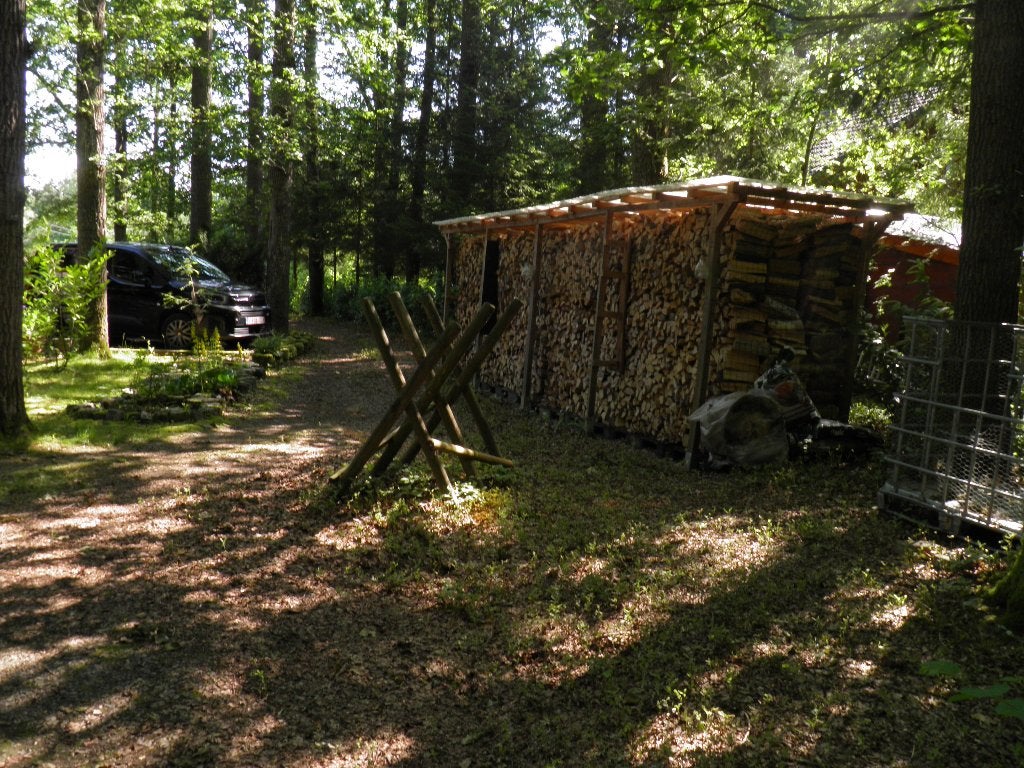 Bois de chauffage sec, Jardin & Terrasse, 6 m³ ou plus, Enlèvement, Bouleau